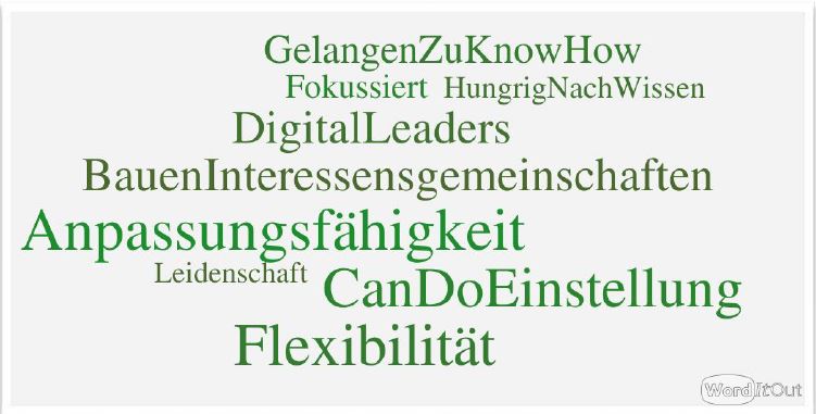 Wordcloud zu Digital Leadership