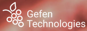 Logo Gefen Technologies