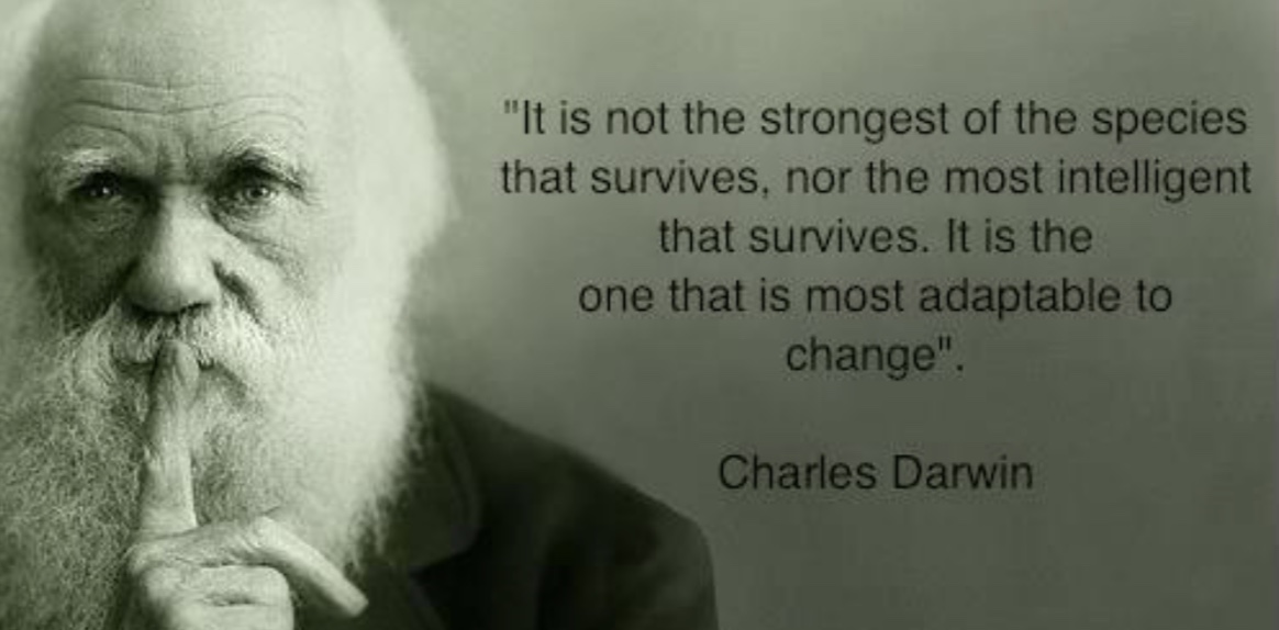Charles Darwin sein Zitat über das überleben der Spezies, welche sich am schnellsten anpasst