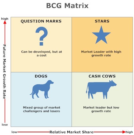 BCG-Matrix